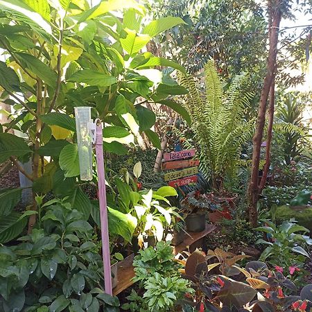 Suites Pico Do Cristal Caparaó Velho 外观 照片