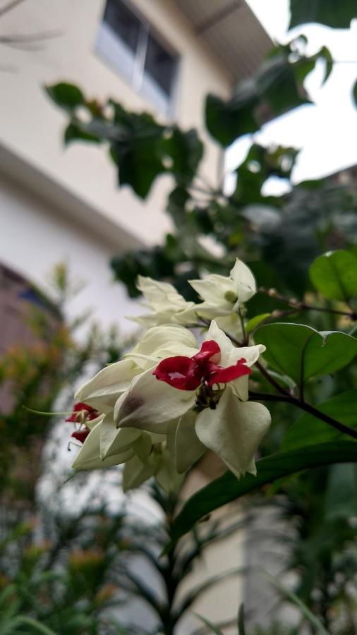 Suites Pico Do Cristal Caparaó Velho 外观 照片