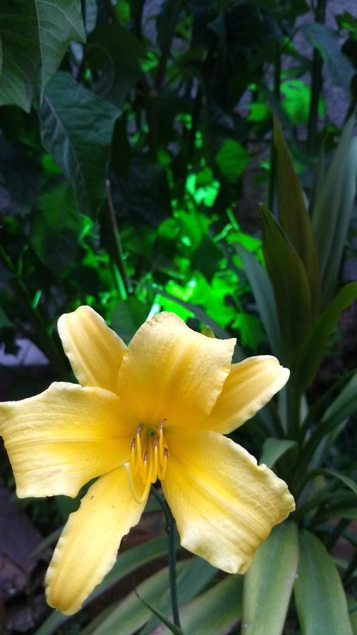 Suites Pico Do Cristal Caparaó Velho 外观 照片